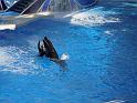 Sea World-190